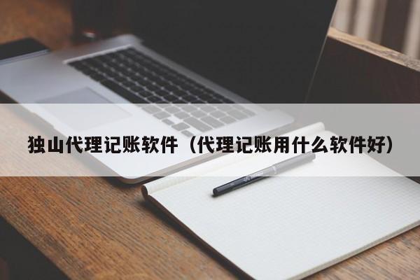 独山代理记账软件（代理记账用什么软件好）