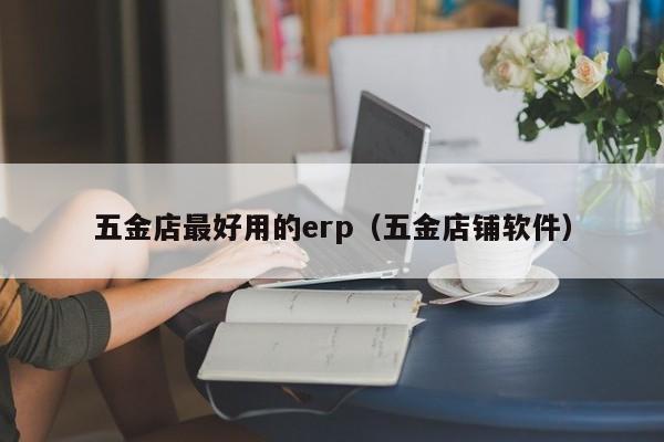 五金店最好用的erp（五金店铺软件）