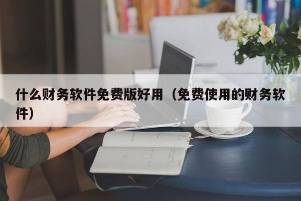 什么财务软件免费版好用（免费使用的财务软件）