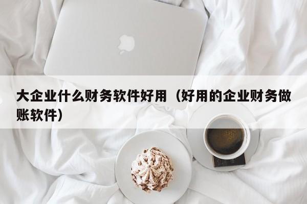 大企业什么财务软件好用（好用的企业财务做账软件）