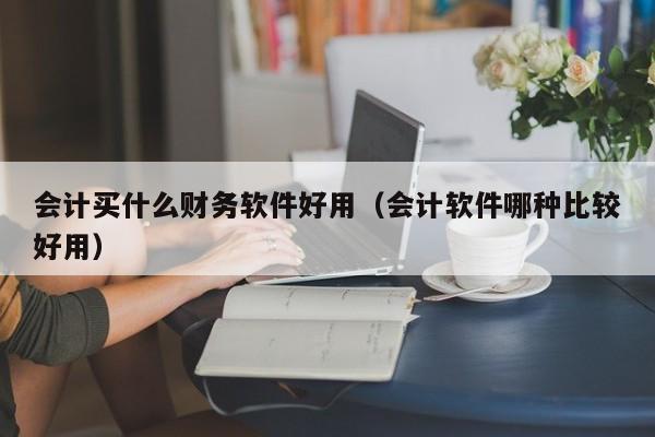 会计买什么财务软件好用（会计软件哪种比较好用）