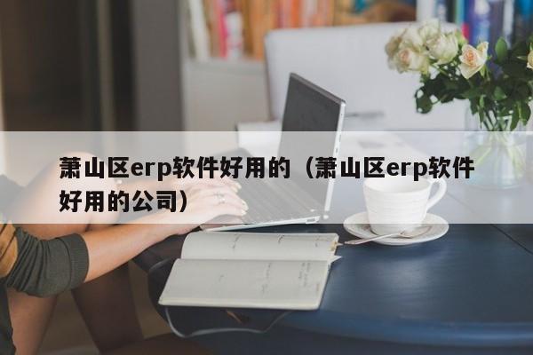 萧山区erp软件好用的（萧山区erp软件好用的公司）