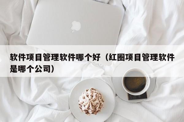 软件项目管理软件哪个好（红圈项目管理软件是哪个公司）