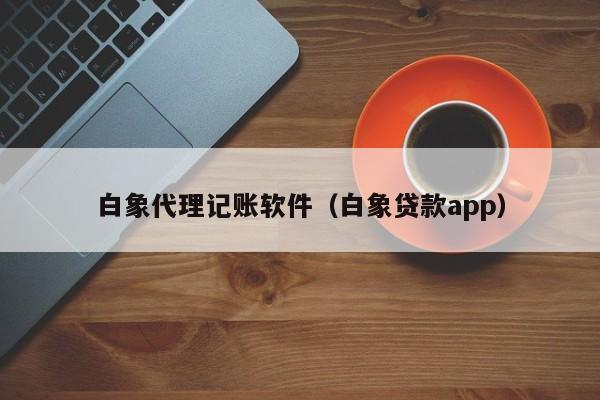 白象代理记账软件（白象贷款app）