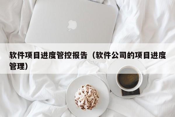 软件项目进度管控报告（软件公司的项目进度管理）