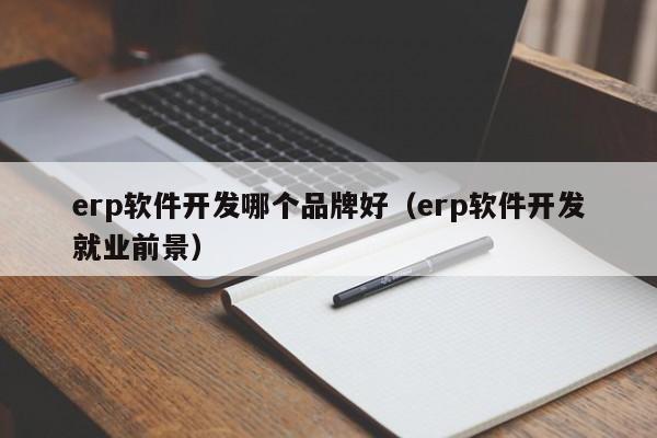 erp软件开发哪个品牌好（erp软件开发就业前景）