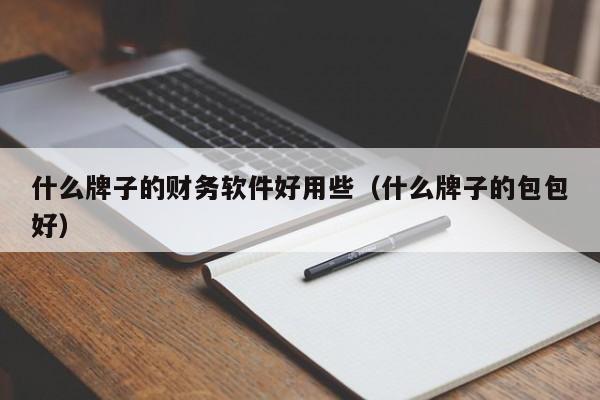 什么牌子的财务软件好用些（什么牌子的包包好）