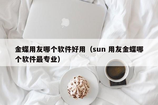 金蝶用友哪个软件好用（sun 用友金蝶哪个软件最专业）