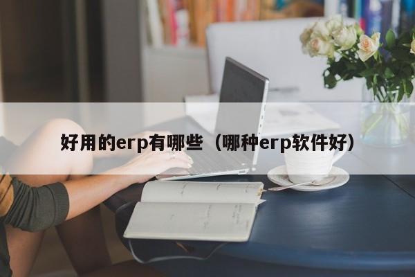 好用的erp有哪些（哪种erp软件好）