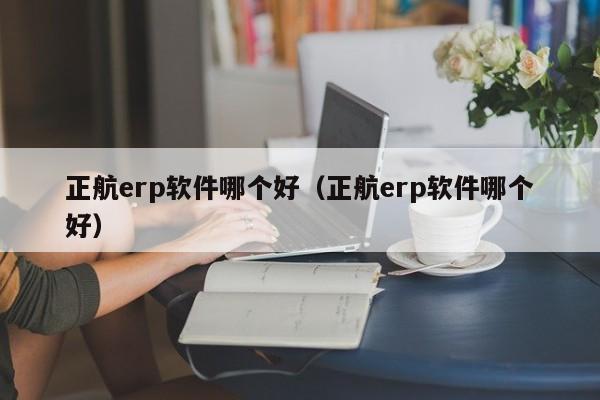 正航erp软件哪个好（正航erp软件哪个好）