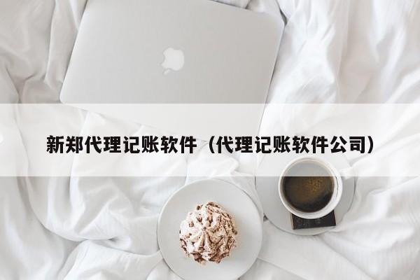 新郑代理记账软件（代理记账软件公司）