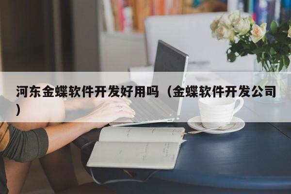 河东金蝶软件开发好用吗（金蝶软件开发公司）