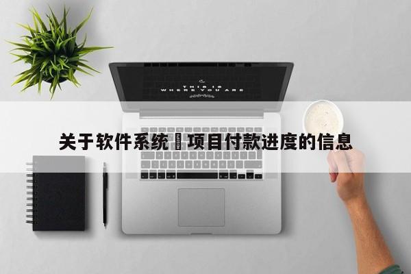 关于软件系统 项目付款进度的信息