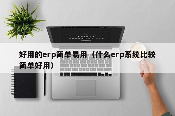 好用的erp简单易用（什么erp系统比较简单好用）