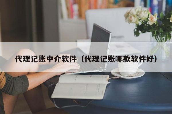 代理记账中介软件（代理记账哪款软件好）