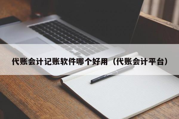 代账会计记账软件哪个好用（代账会计平台）