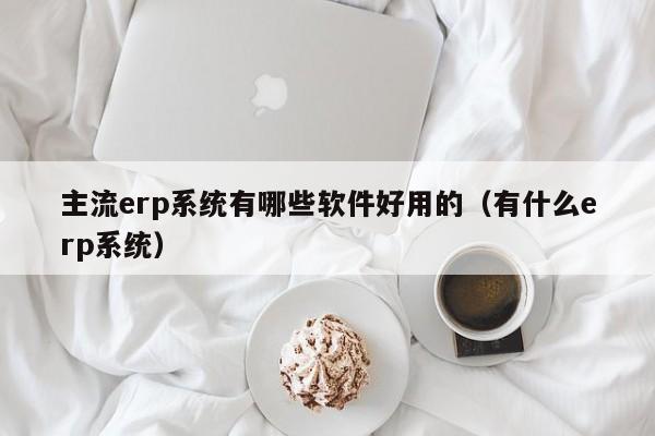 主流erp系统有哪些软件好用的（有什么erp系统）