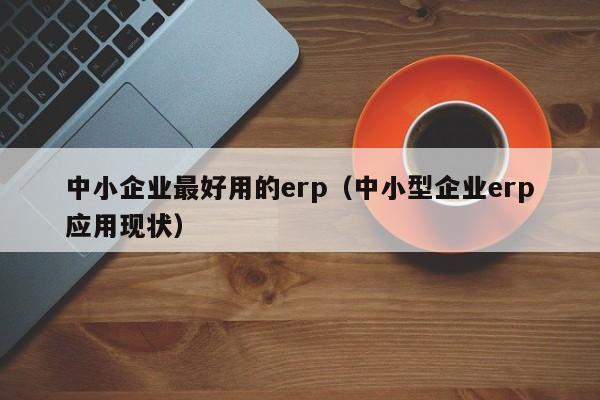 中小企业最好用的erp（中小型企业erp应用现状）