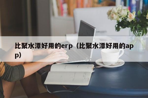 比聚水潭好用的erp（比聚水潭好用的app）