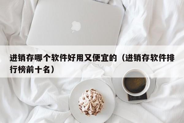 进销存哪个软件好用又便宜的（进销存软件排行榜前十名）