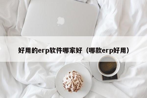 好用的erp软件哪家好（哪款erp好用）