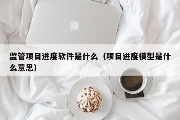 监管项目进度软件是什么（项目进度模型是什么意思）