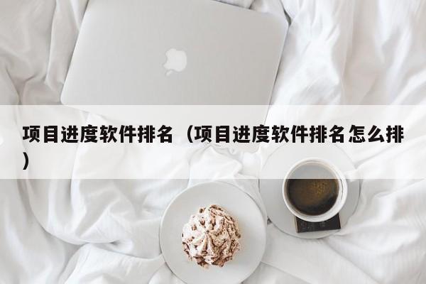 项目进度软件排名（项目进度软件排名怎么排）