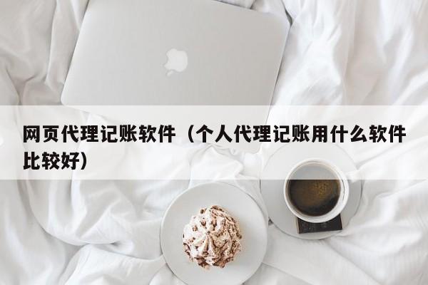 网页代理记账软件（个人代理记账用什么软件比较好）