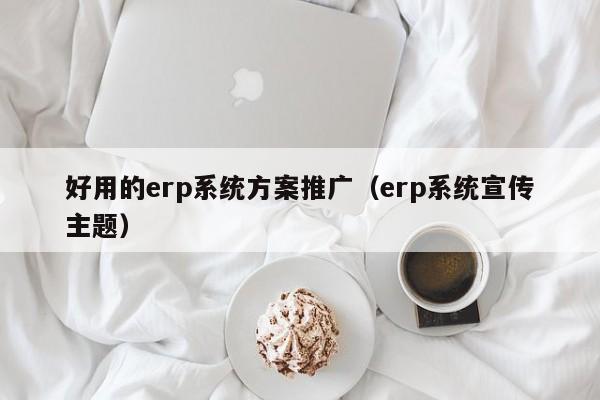 好用的erp系统方案推广（erp系统宣传主题）