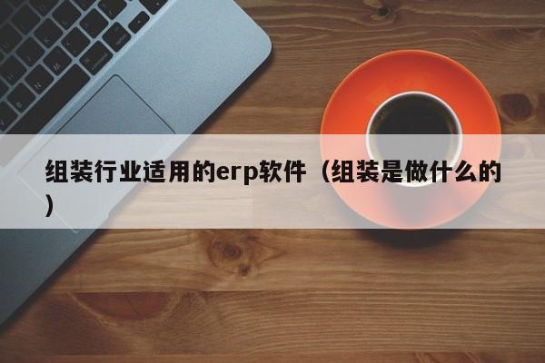 组装行业适用的erp软件（组装是做什么的）