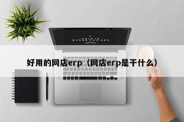 好用的网店erp（网店erp是干什么）