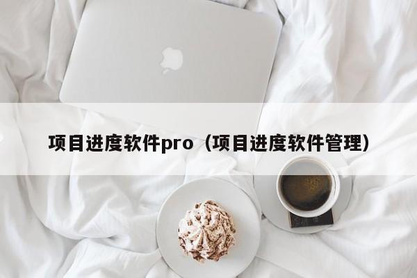 项目进度软件pro（项目进度软件管理）