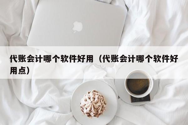 代账会计哪个软件好用（代账会计哪个软件好用点）