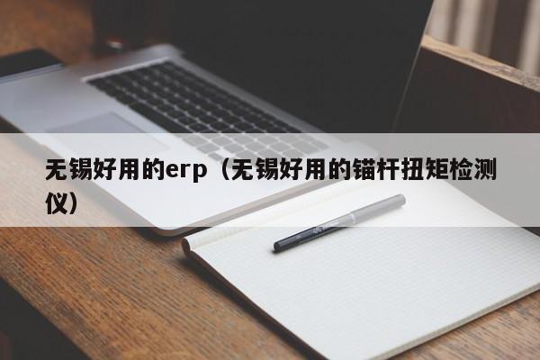 无锡好用的erp（无锡好用的锚杆扭矩检测仪）