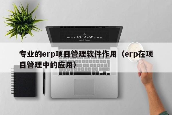 专业的erp项目管理软件作用（erp在项目管理中的应用）