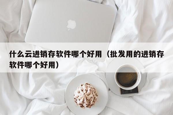 什么云进销存软件哪个好用（批发用的进销存软件哪个好用）