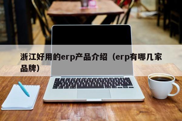 浙江好用的erp产品介绍（erp有哪几家品牌）