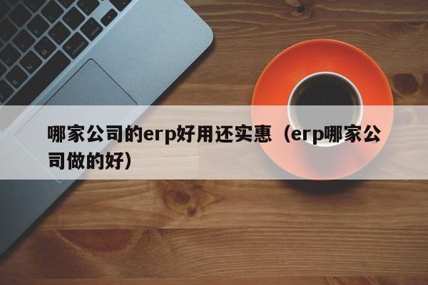 哪家公司的erp好用还实惠（erp哪家公司做的好）