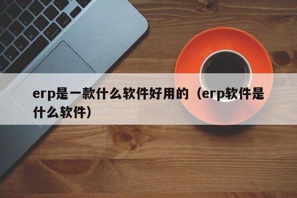 erp是一款什么软件好用的（erp软件是什么软件）