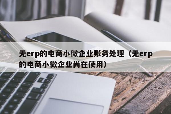 无erp的电商小微企业账务处理（无erp的电商小微企业尚在使用）