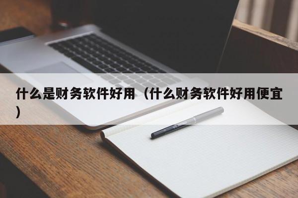 什么是财务软件好用（什么财务软件好用便宜）