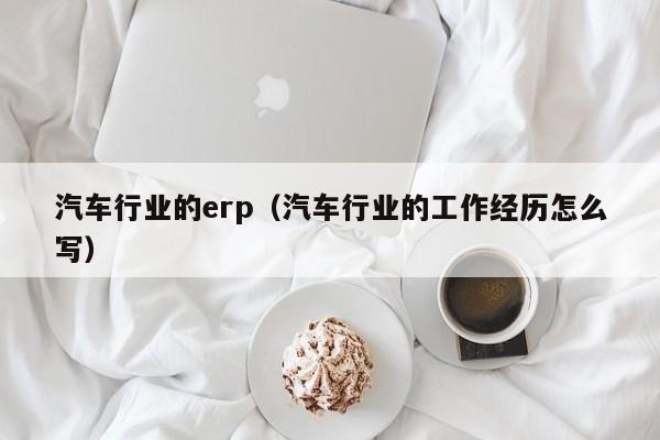 汽车行业的erp（汽车行业的工作经历怎么写）