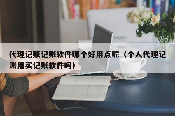 代理记账记账软件哪个好用点呢（个人代理记账用买记账软件吗）