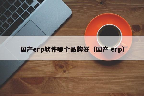 国产erp软件哪个品牌好（国产 erp）