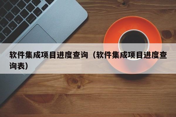 软件集成项目进度查询（软件集成项目进度查询表）