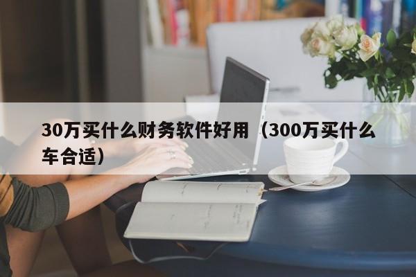 30万买什么财务软件好用（300万买什么车合适）