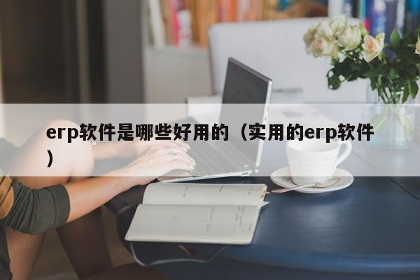 erp软件是哪些好用的（实用的erp软件）