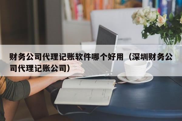 财务公司代理记账软件哪个好用（深圳财务公司代理记账公司）