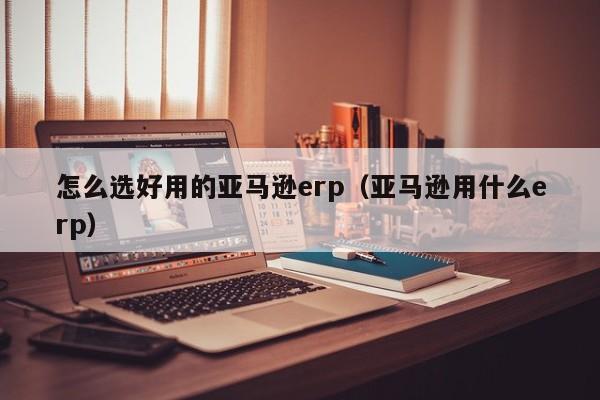 怎么选好用的亚马逊erp（亚马逊用什么erp）