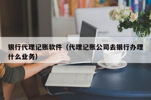 银行代理记账软件（代理记账公司去银行办理什么业务）